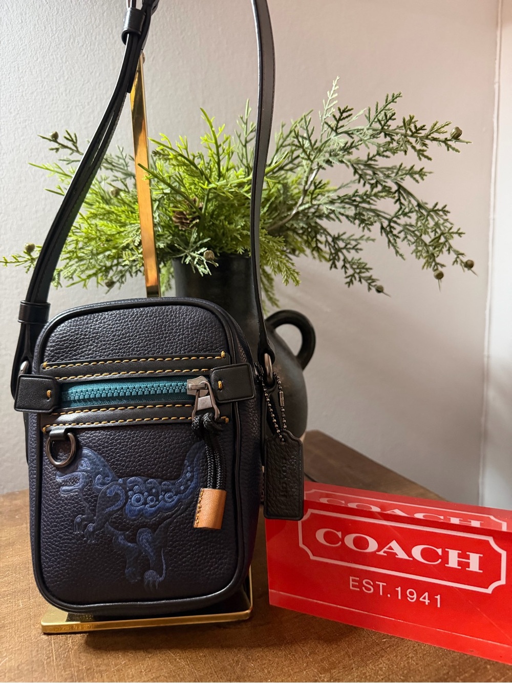 Coach Dylan 10 (With Rexy) By Zhu Jingyi